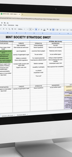 Computer screen displaying a detailed spreadsheet titled "Mint Society Strategic SWOT," listing strengths, weaknesses, opportunities, and threats for a marketing analysis project.