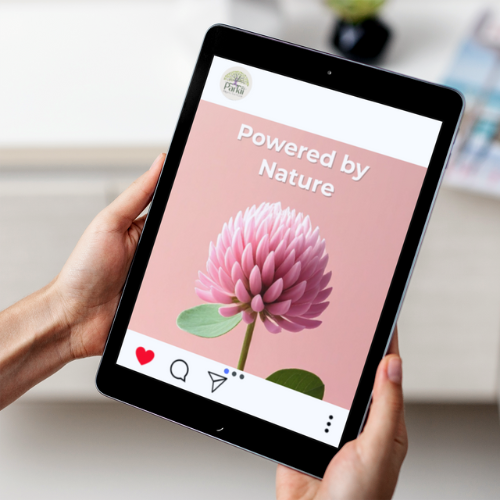 Hands holding a tablet showing an Instagram post with a pink botanical flower and the caption "Powered by Nature."