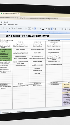 Computer screen displaying a detailed spreadsheet titled "Mint Society Strategic SWOT," listing strengths, weaknesses, opportunities, and threats for a marketing analysis project.